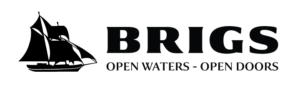 Brigs Logo