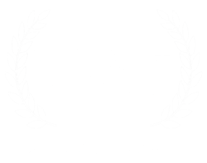 Canada Volunteer Award